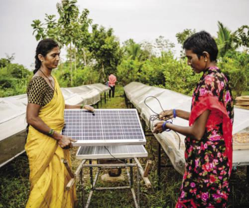 The affordable solar dryers from Raheja Solar Food Processing (founded by Varun Raheja), are designed to enhance farmer profits